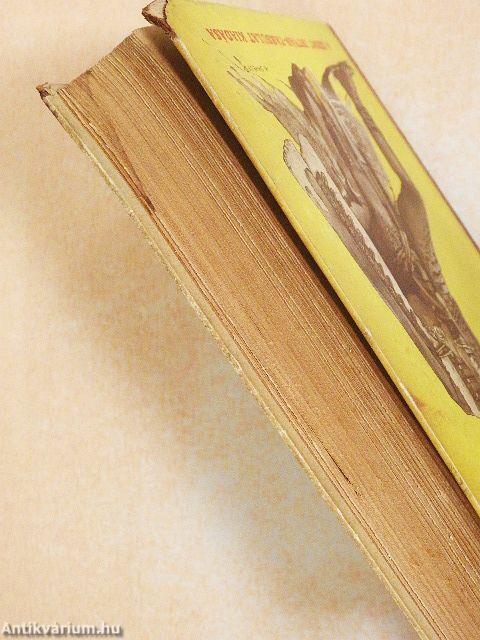 Nagy idők, nagy emberek