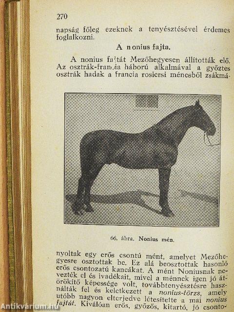 Gazdasági alapismeretek