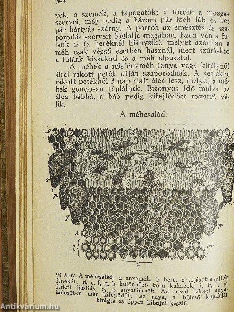 Gazdasági alapismeretek