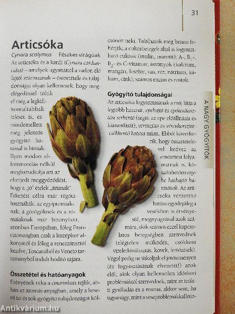 Gyümölcsök, zöldségek