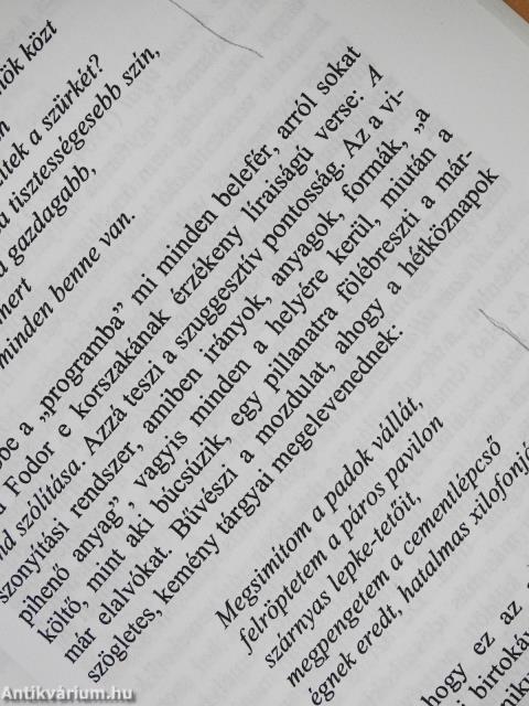 Fények a labirintusban (dedikált példány)