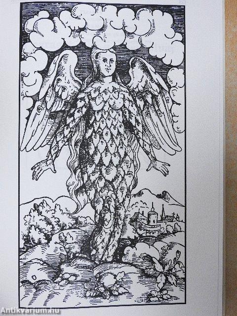 A lovag meg az ibolya