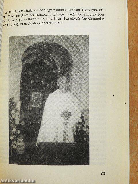 Az Isten vándora II.