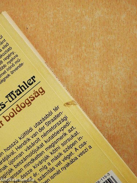 Elsikkasztott boldogság