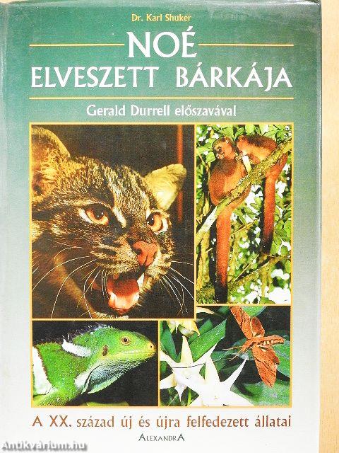 Noé elveszett bárkája