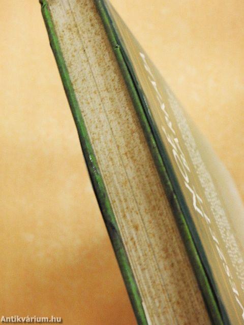 Noé elveszett bárkája