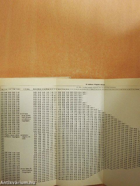 Házunk tája - aranybánya