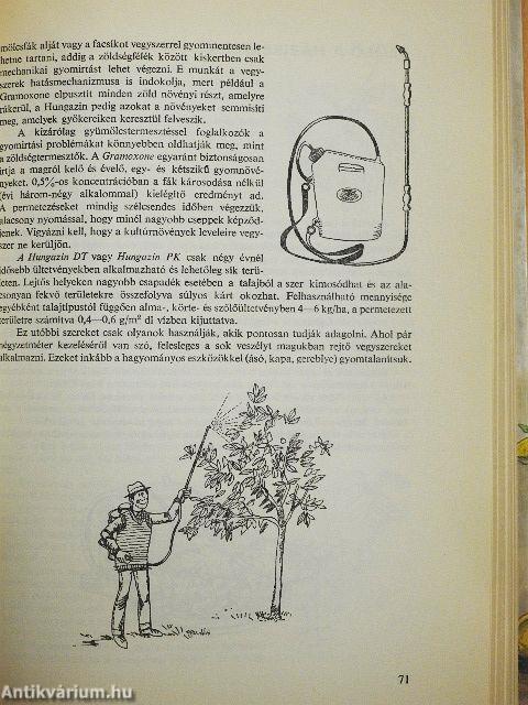 Házunk tája - aranybánya