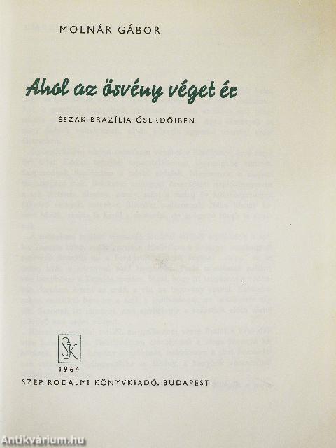 Ahol az ösvény véget ér