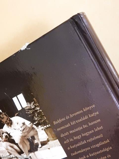 A kutyák szőrös gyerekek (aláírt példány)