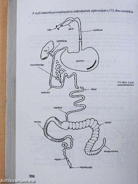 A szakértő gazda állattenyésztési ismeretei