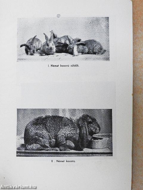 A hús- és gereznanyúl tenyésztés kézikönyve