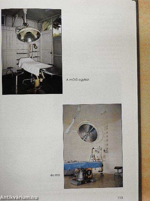 A Lambaréné-misszió