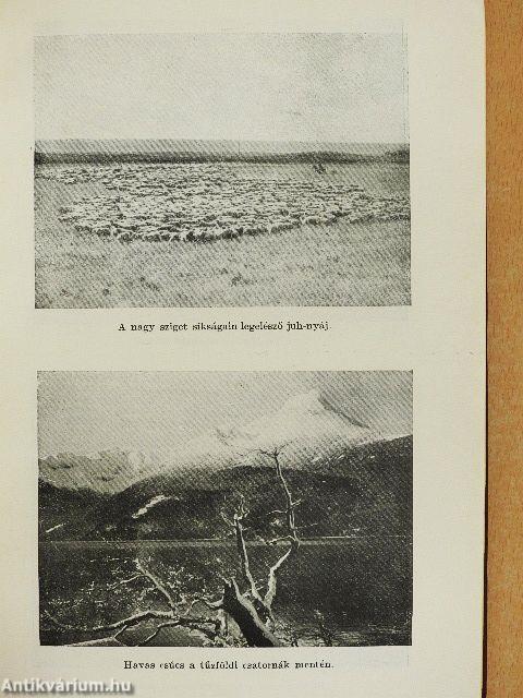 Tíz esztendő a Tűzföldön