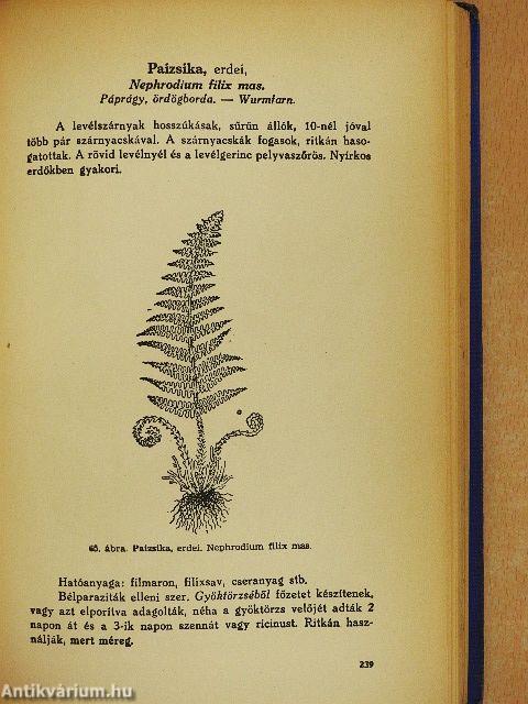 Gyógynövények gyógyhatásai