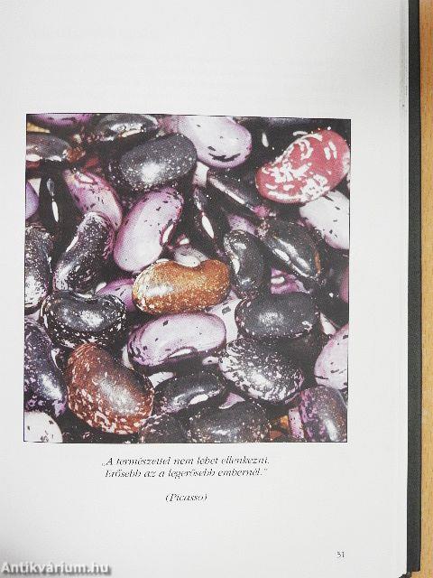 Stressz a lelke mindennek