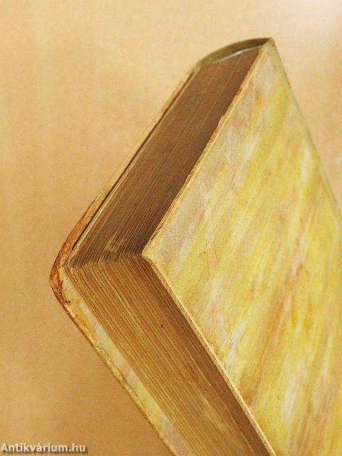 Erzsébet magyar királyné