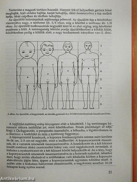 A gyermek fejlődése, táplálása, gondozása