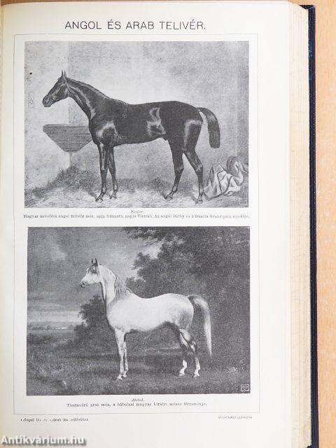 Révai nagy lexikona 1-21.