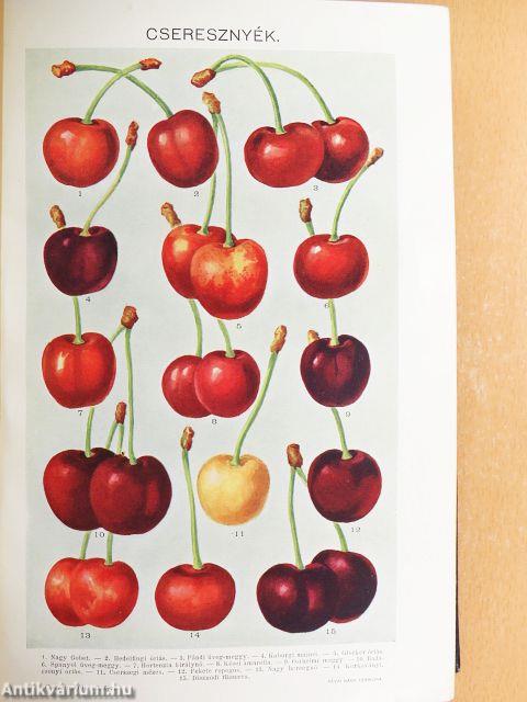 Révai nagy lexikona 1-21.