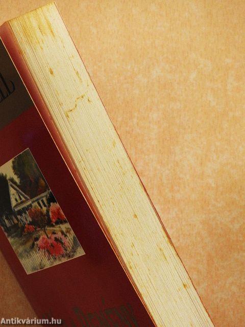 Ház a Remény utcában