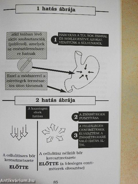 Malgorzata Drozd módszere