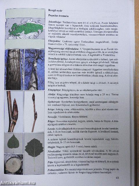 Erdészeti növénytan