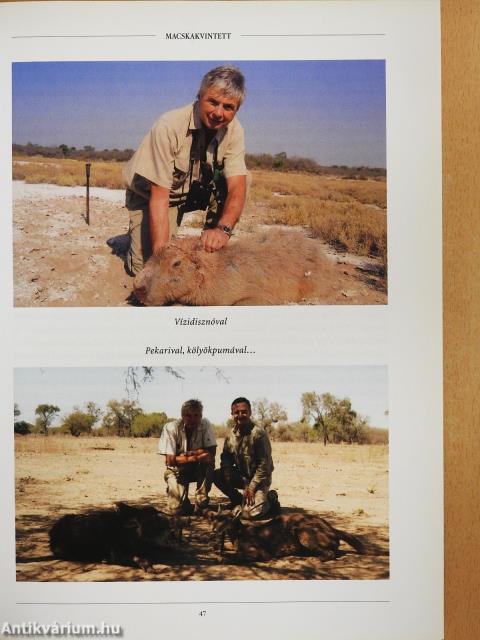 Hegyen innen, hegyen túl (számozott, dedikált példány)