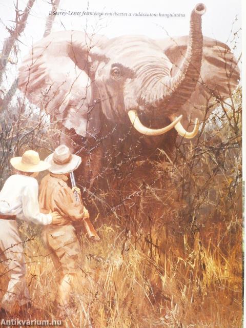 Hegyen innen, hegyen túl (számozott, dedikált példány)