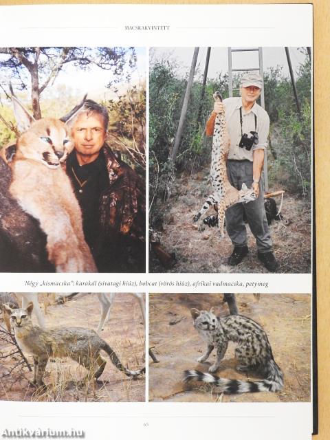 Hegyen innen, hegyen túl (dedikált példány)