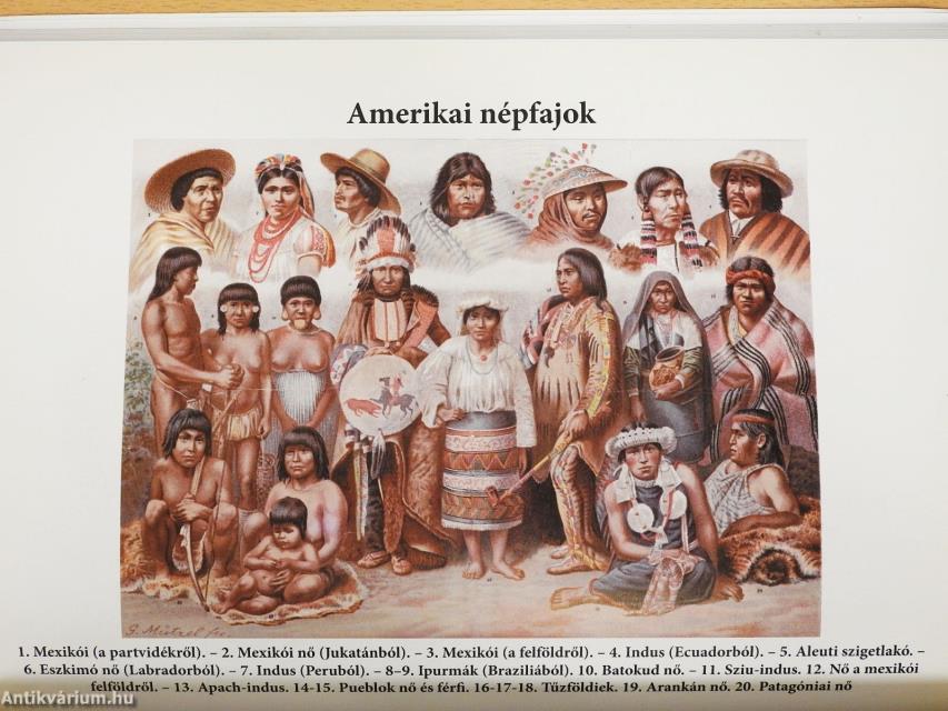 Az egészség II. (dedikált példány)