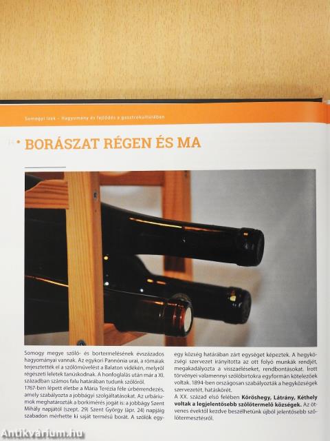 Somogyi ízek 2014 (dedikált példány)