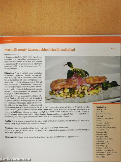 Somogyi ízek 2014 (dedikált példány)