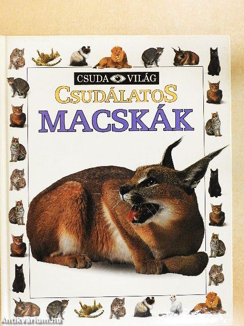 Csudálatos macskák