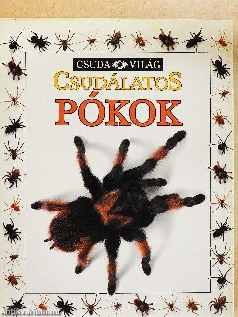 Csudálatos pókok