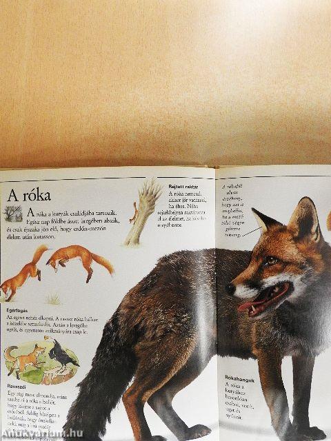 Csudálatos emlősök