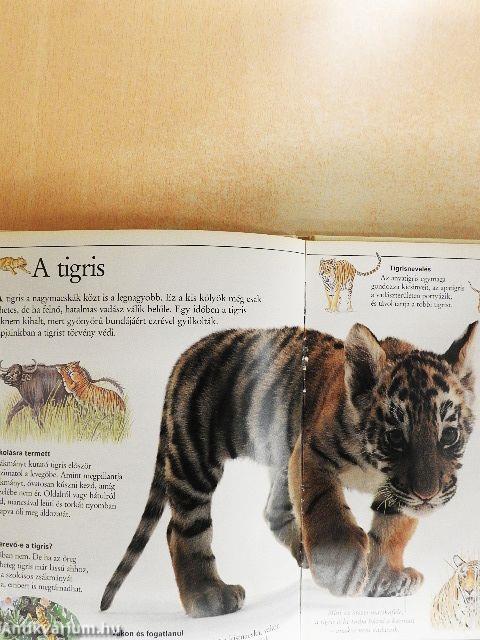 Csudálatos emlősök