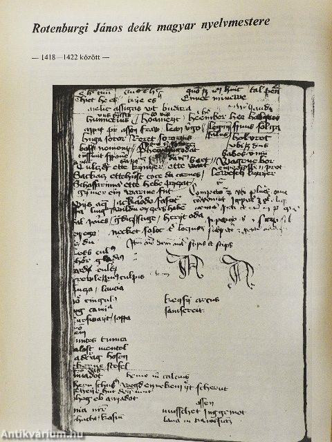 Magyar nyelvemlékek