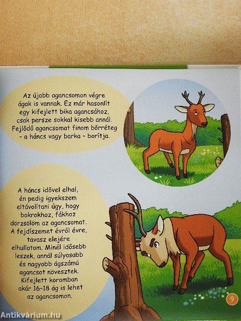 A gímszarvas