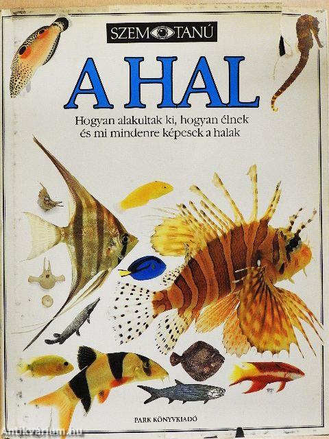 A hal 