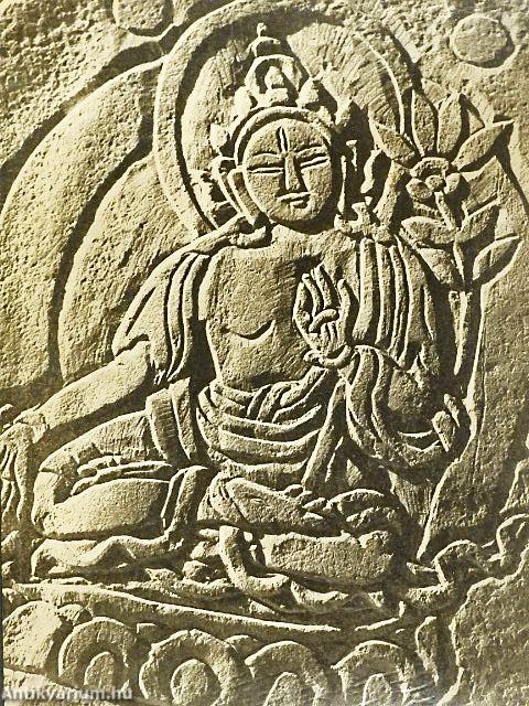 Vitaminok, gyógynövények, ásványi anyagok