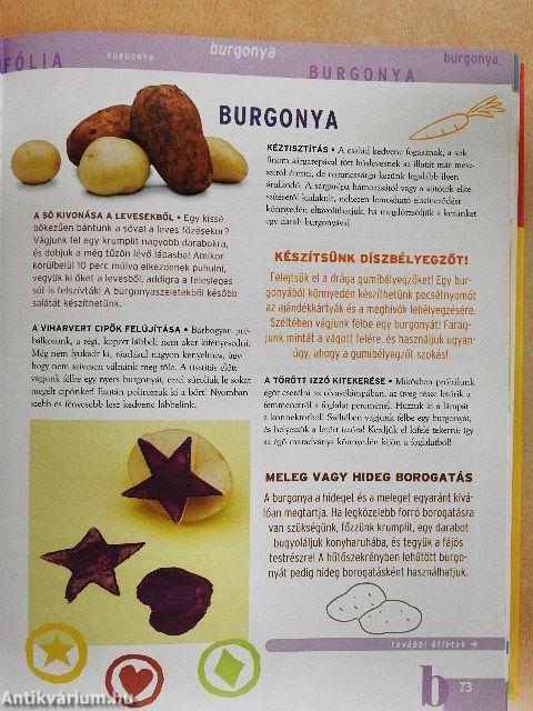 Mindennapi tárgyak nem mindennapi szerepben