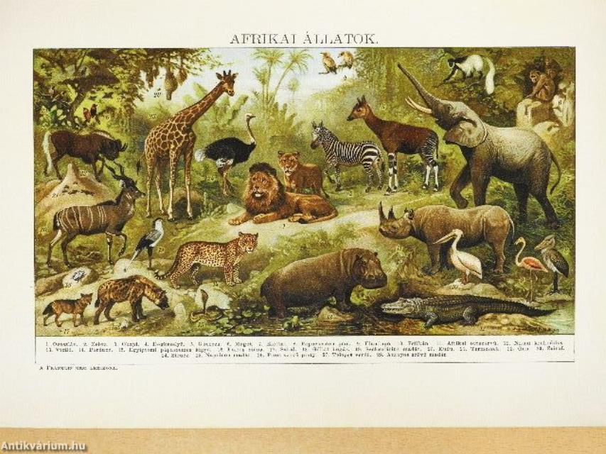 A Franklin kézi lexikona I-III.