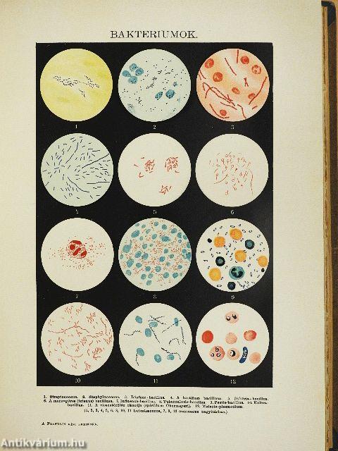 A Franklin kézi lexikona I-III.