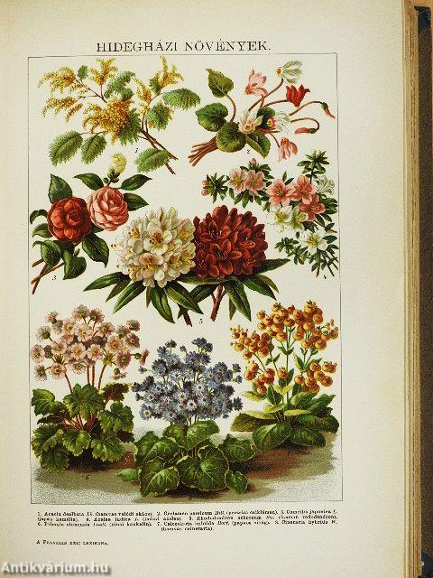 A Franklin kézi lexikona I-III.