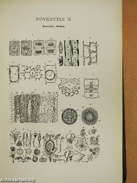 A Franklin kézi lexikona I-III.