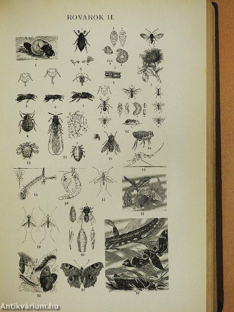 A Franklin kézi lexikona I-III.