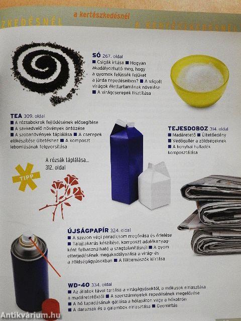 Mindennapi tárgyak nem mindennapi szerepben