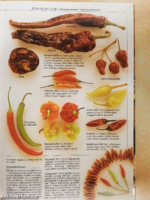 Fűszerek nagy képeskönyve