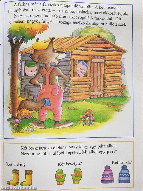 Kisokosok mesekönyve